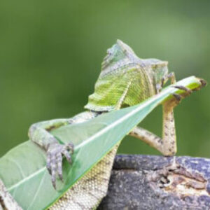 Profile photo of 27Bruce