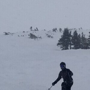 Profile photo of bluesnbrews