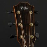 Profile photo of Dzuy N