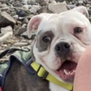 Profile photo of kaiyabear