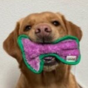 Profile photo of RiverRooo