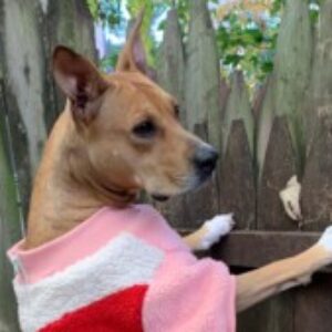 Profile photo of david_k