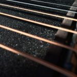 Profile photo of brandon