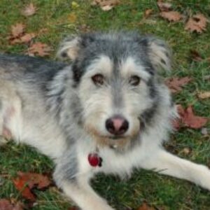 Profile photo of ErnestoB