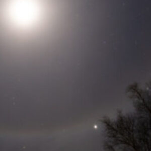 Profile photo of CHEzjeje