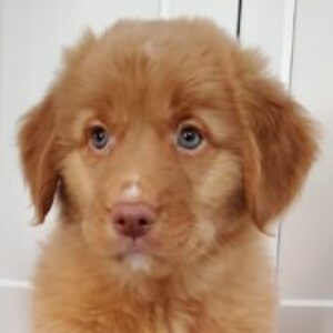 Profile photo of bok39