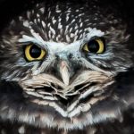 Profile photo of Phillip J