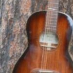 Profile photo of Lin